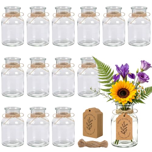 12 jarrones pequeños de 125 ml con colgante para evitar caídas de plantas 2