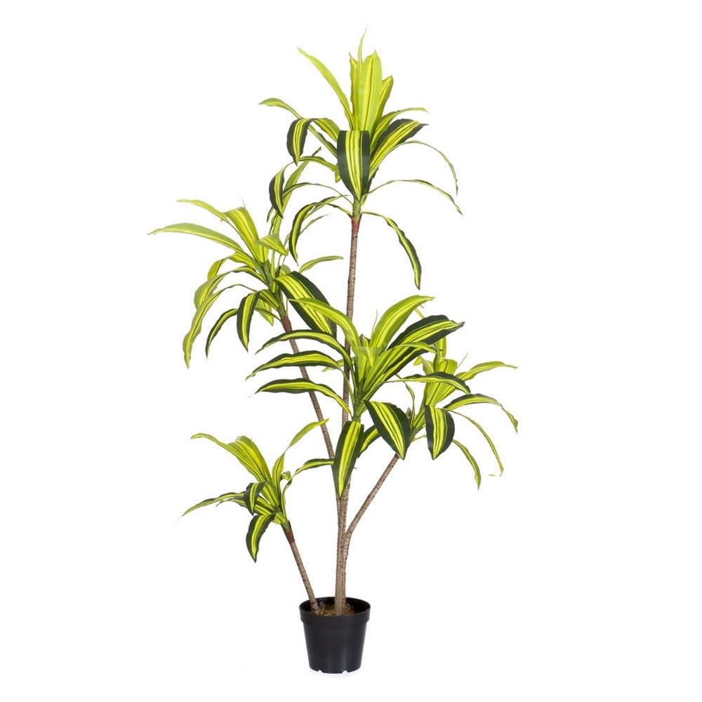 LOLAhome Planta Artificial Dracena para Interior y Exterior, 150 cm | Protección UV Solar, contrapeso de Cemento. Realista y elegante. Para interior, balcón, terraza. Plantas exterior