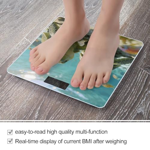 Báscula digital Cute Turtles para peso corporal precisa miniatura 5