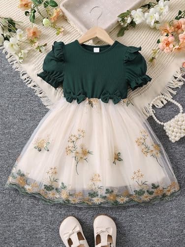 Image of TAGAS Girls' Princess Dress | Girl Dress |Dresses birthdaydress for Babygirls |