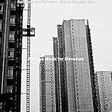 Mysterious Jazz Trio - Vibe for Long Elevator Rides