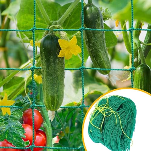 SHUOHONG Premium Rankgitter für Kletterpflanzen mit Großer Maschenweite, Rankhilfe Gurken Netz, Rankhilfe für Kletterpflanzen, Rankgitter für Gewächshaus Garten Bohnen Tomaten, 3,6 x 1,8m SHUOHONG Premium Rankgitter für Kletterpflanzen mit Großer Maschenweite, Rankhilfe Gurken Netz, Rankhilfe für Kletterpflanzen, Rankgitter für Gewächshaus Garten Bohnen Tomaten, 3,6 x 1,8m