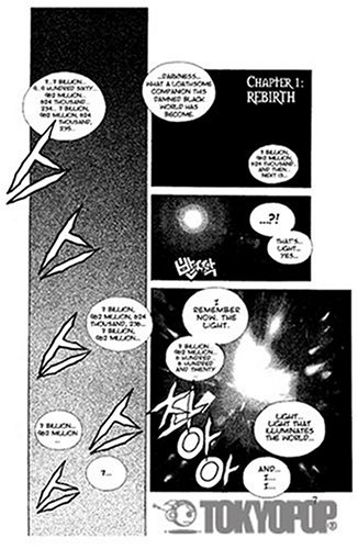 Rebirth Volume 12      Paperback – February 8, 2005