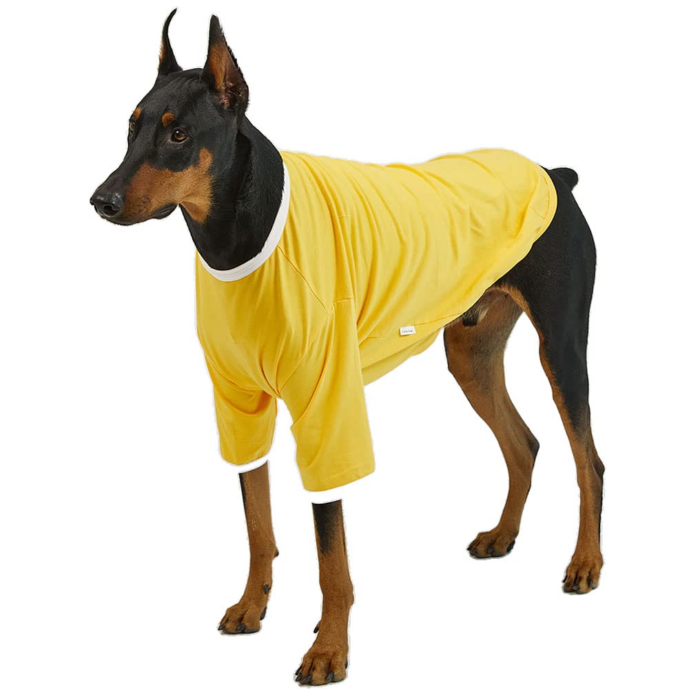 Chemise pour chien jaune 4XL pour les balades en ville