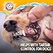 Arm & Hammer Complete Care Dental Water Additive for Dogs, Easy Portion Bottle, Dog Breath Freshener, Dog Mouth Wash or Dental Rinse, Simply Add to Pet Drinking Water for Fresher Breath, 16 FL OZ