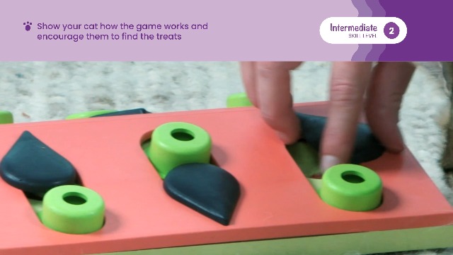 Amazon.com: Catstages Nina Ottosson Melon Madness Puzzle & Play