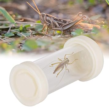 Reptile Breeding Box, Easy to Observe Small Insect Feeding Box Reptile Box, for Gecko Feed Reptiles Lizard Reptiles(White)