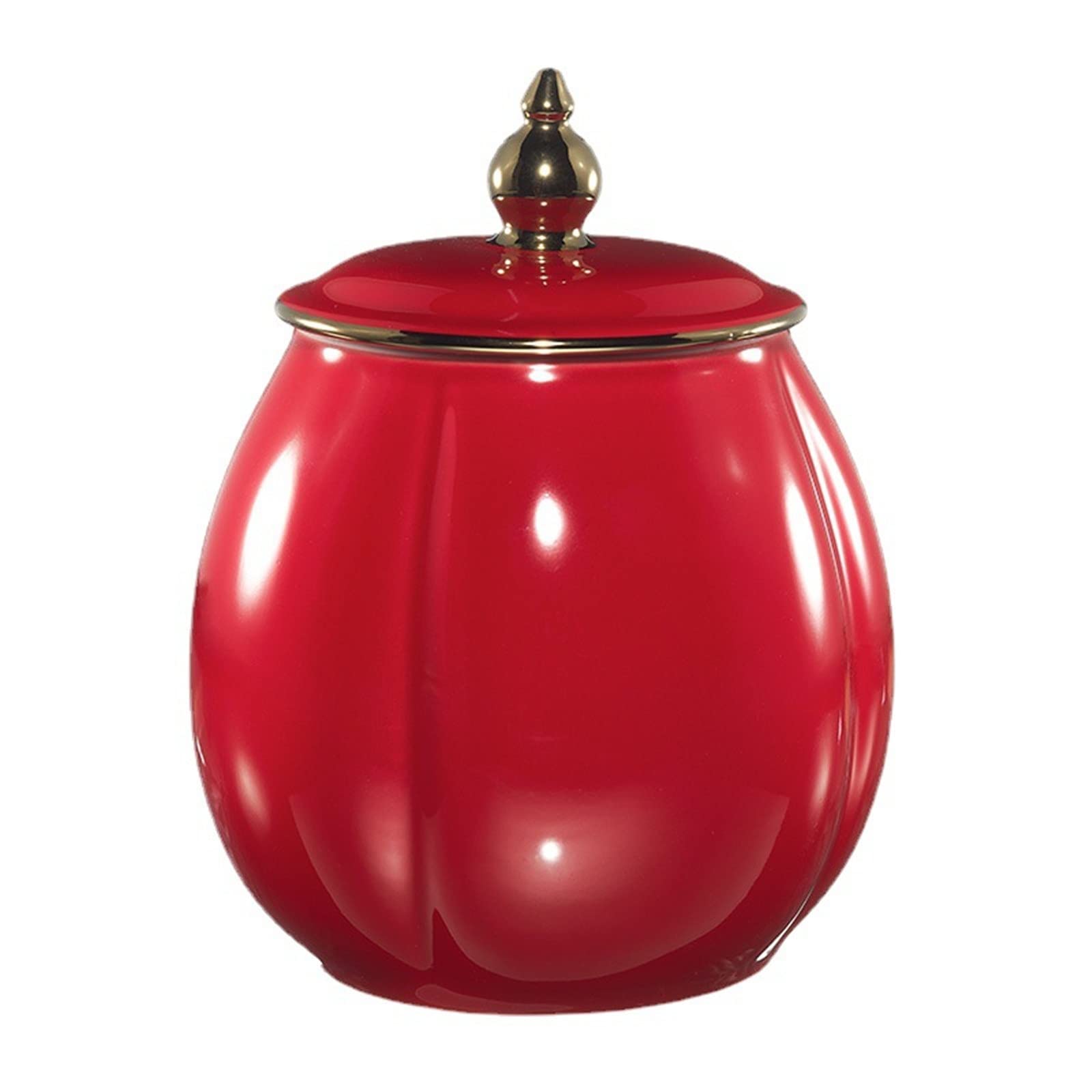 FZYOZZDPASL Ceramic Tea Canister Ceramic Tea Caddy Storage Sealing Jar for Coffee, Spices(Red)