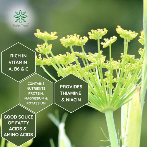 Image of Pure Tree Certified Organic Saunf Powder | 850 g | Fennel Seed Powder | Variyali, Sompu Powder | Gluten Free & Flavourful