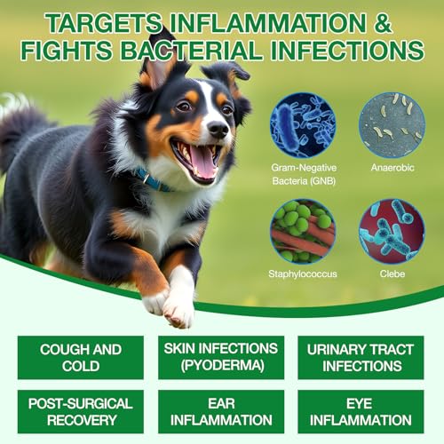 Antibiotika für Hunde Natürliche, Sanfte Reinigung & Unterstützung Der Hautbarriere, Empfindliche Hundehaut, Lindert Hautallergien Juckreiz, Husten, Harnwegsinfektion, Stärkt das Immunsystem, 60ML