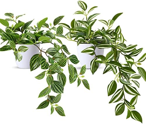 SOGUYI Fake Plants, Artificial Plants 15 Inch Faux Peperomia Watermelon Plants for Indoor Outdoor Decor,Realistic Artificial Hanging Plants in Pot for Home Office Perfect Housewarming Gift,2 Pack