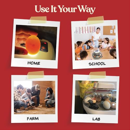 Harris Farms Nurture Right Egg Incubator for Hatching Chicks, Holds 12-22 Eggs, Automatic Turner with Temperature and Humidity Control, 360 Degree View with Clear Window, Incubator for Chickens
