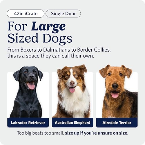 MidWest Homes for Pets 42-Inch iCrate for Large Breeds, 71-90 lbs, Single Door Folding Dog Crate with Divider Panel, Leak-Proof Tray & Secure Latch, Portable, Durable & Easy to Assemble by MidWest Homes for Pets - Image 2