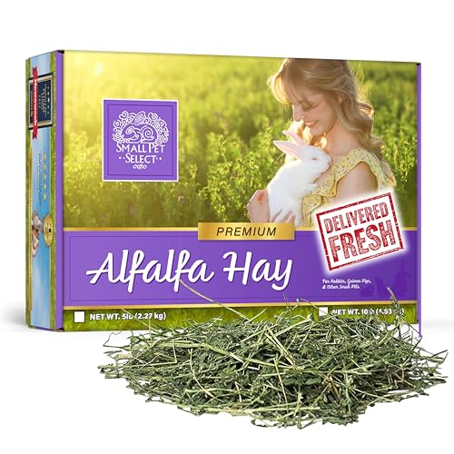 Small Pet Select Alfalfa Hay Pet Food for Young Rabbits Guinea Pigs Chinchillas Tortoises and Other Small Animals Easy to Store Box 5 LB