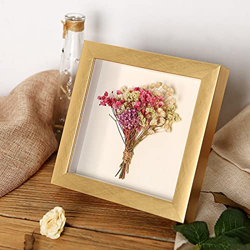 DIYtHgt[3Dz3cm`Ap^[VFG16C`ǃS[h