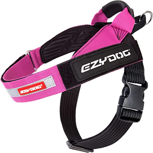 How to put an ezydog harness on a dog