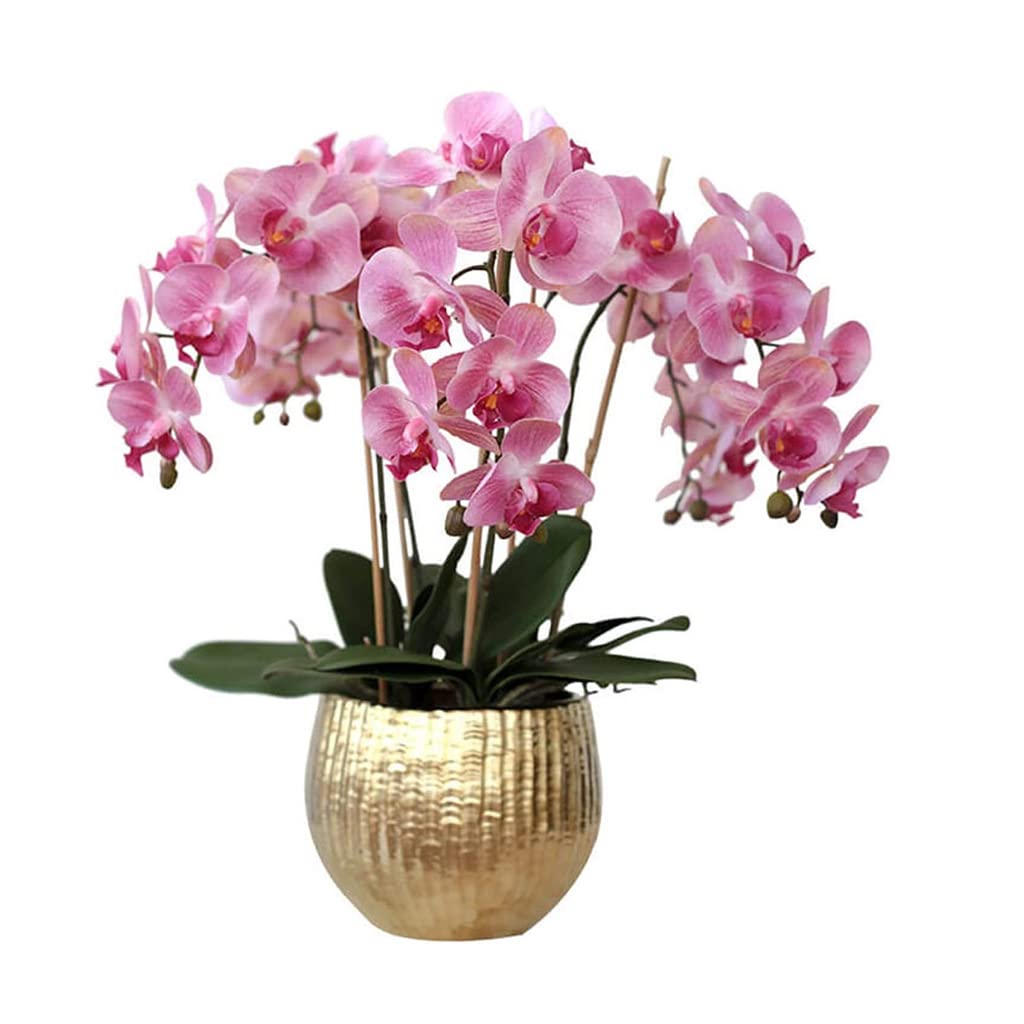XDLEDMKIZ artificial flower Phalaenopsis Artificial Flower With Ceramic Vase Plastic Flower For Home Wedding Party Table Fake Flower Decoration Home Centerpieces