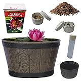 Joe's Terrassenteich-Komplett-Set enthält Everything Live Aquatic Hardy Wasserlilie...