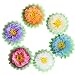 Landisun Crafts Large Tissue Paper Flowers Pom-Pom Kit (18" Inches (pack of 6), Six Mixed Colors)