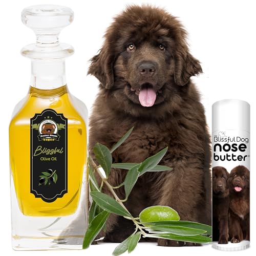 Image of The Blissful Dog Bronze Newfoundland Nose Butter, 50OZ