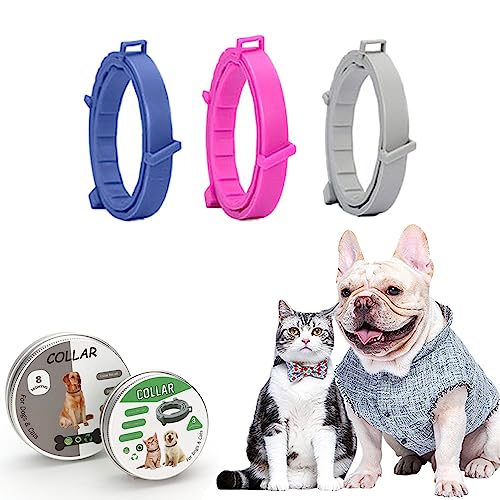 tFU[XgA m~ 悯 ybg 8  L ybg m~ _j΍pi ̂ݎ 悯  Ꮬ΍ t[TCY (STCY, sN1)