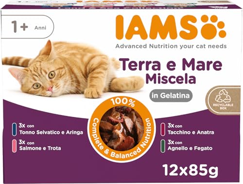 IAMS Advanced Nutrition Land & Sea Collection cibo umido per gatti, multipack con varietà di carne e pesce in gelatina, alimento umido per gatti a partire da 1 anno di età, 12 x 85 g