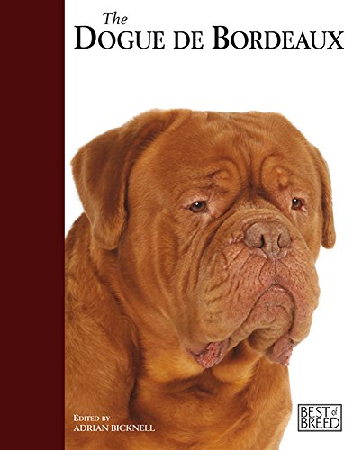  The Dogue De Bordeaux: Dogue De Bordeaux - Best of Breed