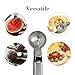 Solid Stainless Steel Ice Cream Scoop, SourceTon 2 Packs of Stainless steel Ice Cream Spoon with Easy Trigger, Dipper for Fruits, Water Melon Scoop