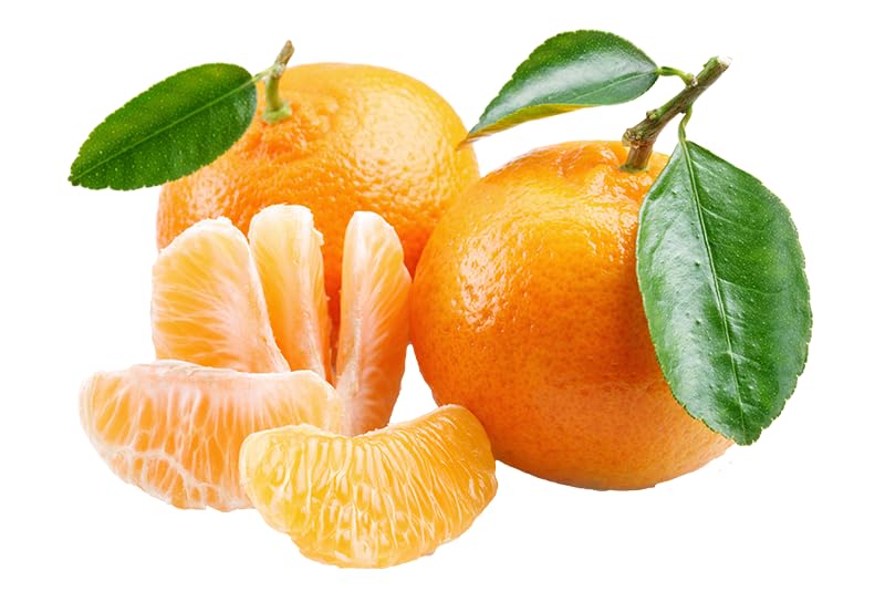 Fresh Mandarin 450-500g Morocco