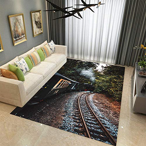 HOUHEIZHIDAO Alfombra De Diseño Moderna, Terciopelo De Cristal Antideslizante Alfombras, Paisaje De Tren De Ferrocarril De La Selva, 120X160CM
