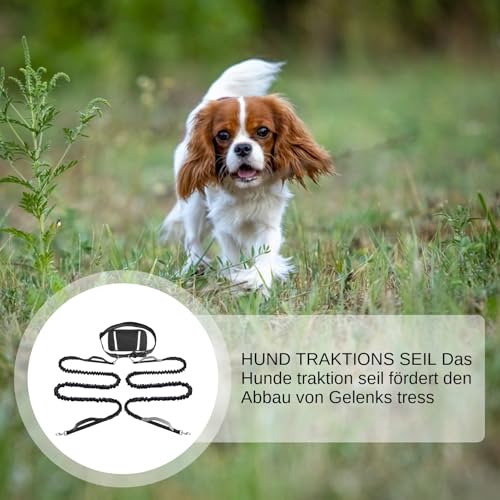 Yulokdwi Hund Zugseil - Reflektierendes Zuggeschirr Mit Bauchtasche Für Laufen Urban Travel Radfahren,Reflektierende Hundeleine Für Jogging, Wanderungen, Outdoor-Aktivitäten Und Camping
