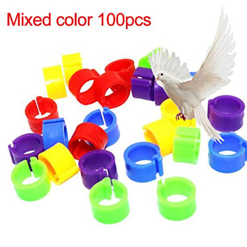 CFPacrobaticS 100Pcs Plastic Birds Poultry Duck Pigeons Dove Parrot Leg Foot Bands Clip Rings Bantams Supplies Mix Color 100pcs