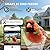 Solution4Patio Wood Solar Powered Bird Feeder with Camera - AI-Powered Bird Identification with Smart Squirrel Alarm, Weatherproof Outdoor Birdfeeder with Suet Baskets for Children & Elderly