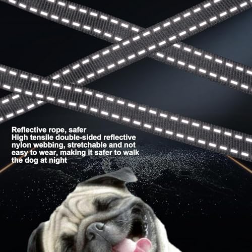 Chaîne pour chien rétractable haut de gamme avec bande en nylon robuste - 5