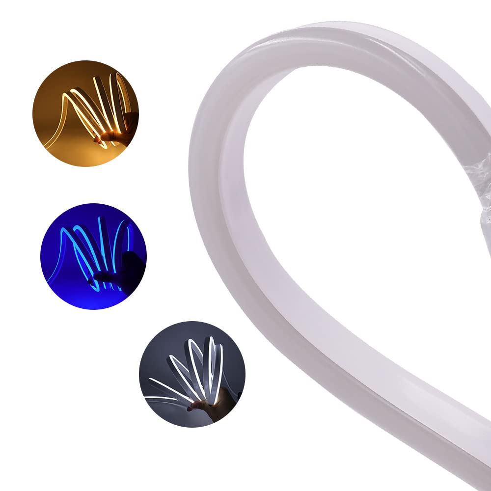 Striscia LED Neon 2835 Tubo LED Flessibile Impermeabile Luminosa 220V IP65 120 LED/M Corda Stringa Lampada con Alimentatore di rete e Dimmerazione manuale Controller,per Camera da Letto (8m, Blu)