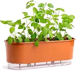 Jardineira Autoirrigável 40cm x 16cm - Terrazzo Terracota