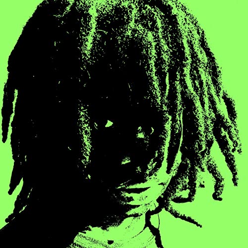 SHERWOOD AND THE CHIMPMUNKS [Explicit]