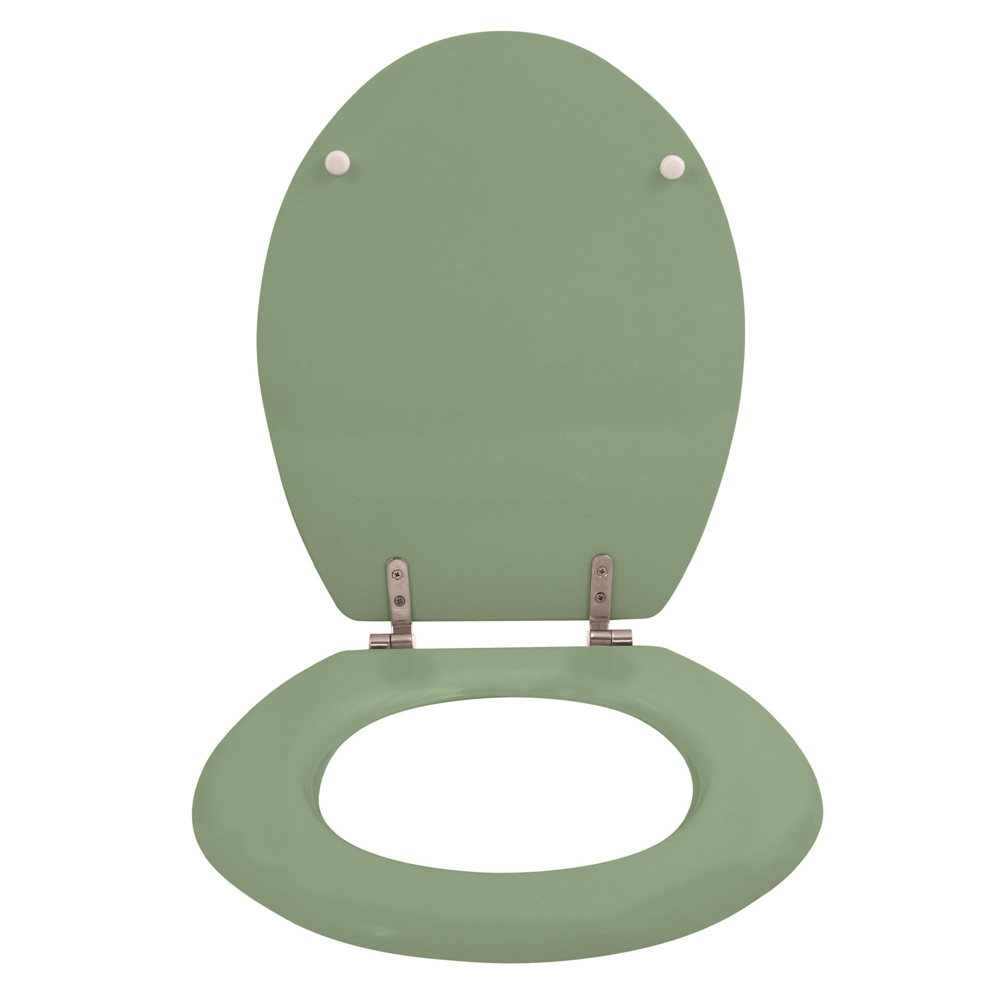 Well Home Asiento WC, con bisagras acero inoxidable, acabado, color albahaca