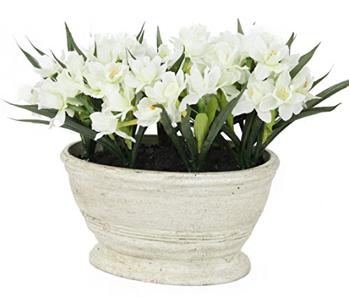 Closer To Nature FP021NC - Planta decorativa de Narciso blanco, 21 cm