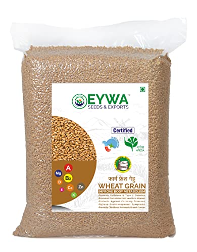 Image of Eywa Seeds & Exports Pvt Ltd Organic Wheat Whole Grains (15 Kg) For Eating And Cooking | Gehu Daane | Produce Of India From Organic Farms By Eywa