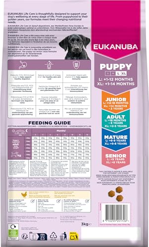 Eukanuba Welpenfutter mit frischem Huhn für große Rassen, Premium Trockenfutter für Junior Hunde, 3 kg