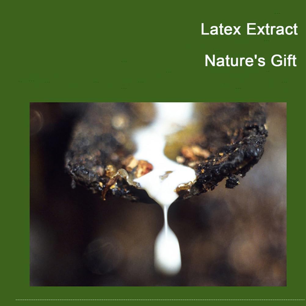 Organic Natural Latex Mattress Topper, Medium Firm 5cm Thickness, Breathable Honeycomb Design, Deep Sleep Support, 180x200cm (71x79in) with Cotton Cover