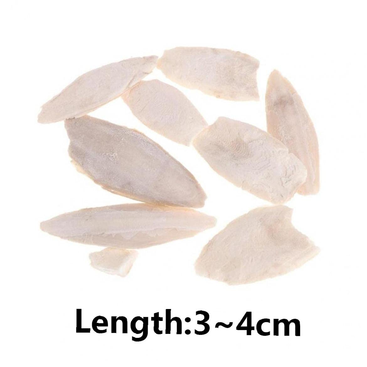 1 Bag Bird Desalting Cuttlebone Toy Cuttlefish Sepia Bone Training Chew Molar Toy for Parrot