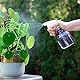 Youngever 6er Pack 250ML Kunststoff Sprühflasche, Transparent Leer Sprühflaschen Set in 6 Farben für Reinigung Reisen Blumen Garten Friseursalon