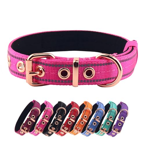 Collar para perro con neopreno acolchado y cierre de hebilla, mediano rosa