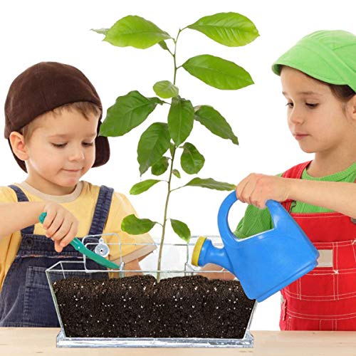 Niuxx Window Flower Pot With Removable Drain Tray, Planter Boxes With Strong Mounting Stickers, Succulents Cactus Plant Pots For Indoor Outdoor Home Garden Kitchen Decor #TOP5