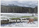 Imán para nevera con diseño de vaca pastando en el paisaje nevado de Sierra De Gredos