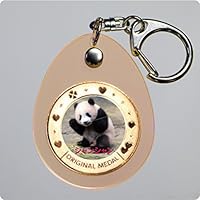 シャンシャン　香香　アクリルキーホルダー　ガチャ　ウエノデパンダ春節祭　激レア 61gZqHC3tnL._UF350,350_QL50_.jpg