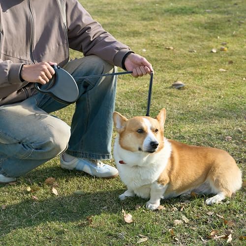 Amazon Basics Einziehbare Hundeleine, Länge 5 m, Größe M, Hunde bis 50 kg, Schwarz