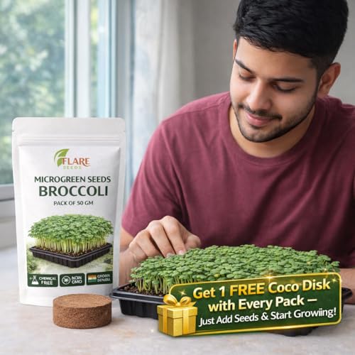 Image of Broccoli Microgreen Seeds, Non-GMO Chemical Free, 50 GM Pack, Rich in Sulforaphane, Vitamins A C K, Fiber, Grown in India